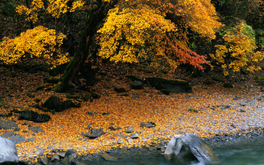 447503 (a): :1440x900